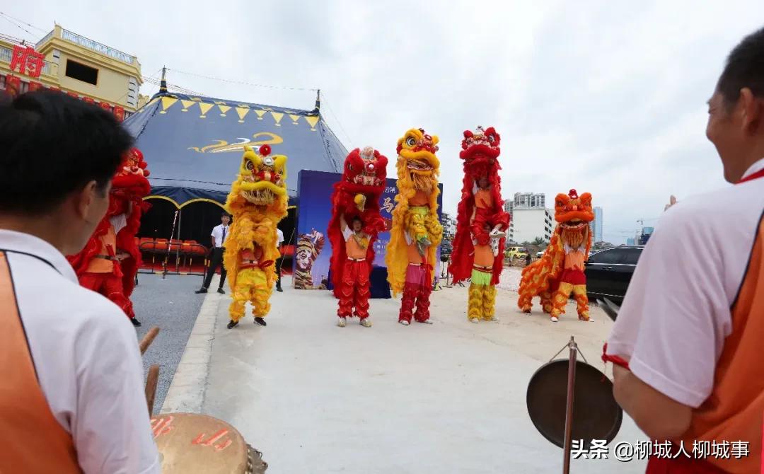 热闹非凡各种表演视频,热闹非凡的活动