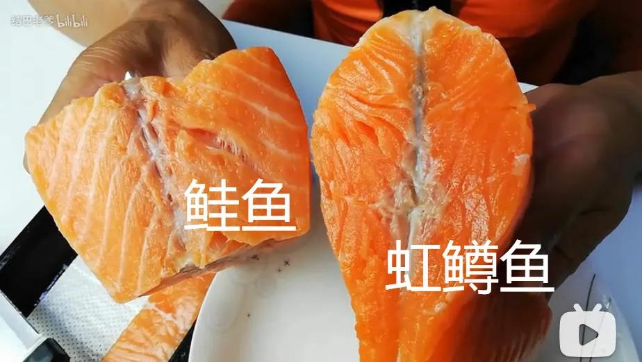 七种鱼不适合宝宝吃,不建议给宝宝吃的鱼类清单