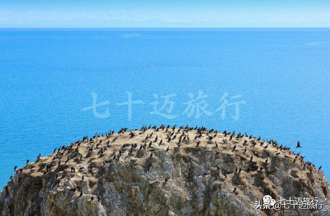 青海湖旅游景点线路推荐图手绘,青海湖景点游玩攻略图