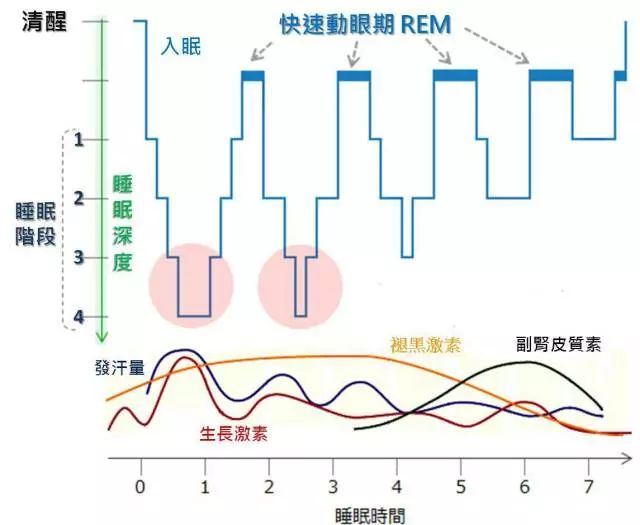 7天快速减肥法一周瘦10斤,7天快速减肥法7天减10斤