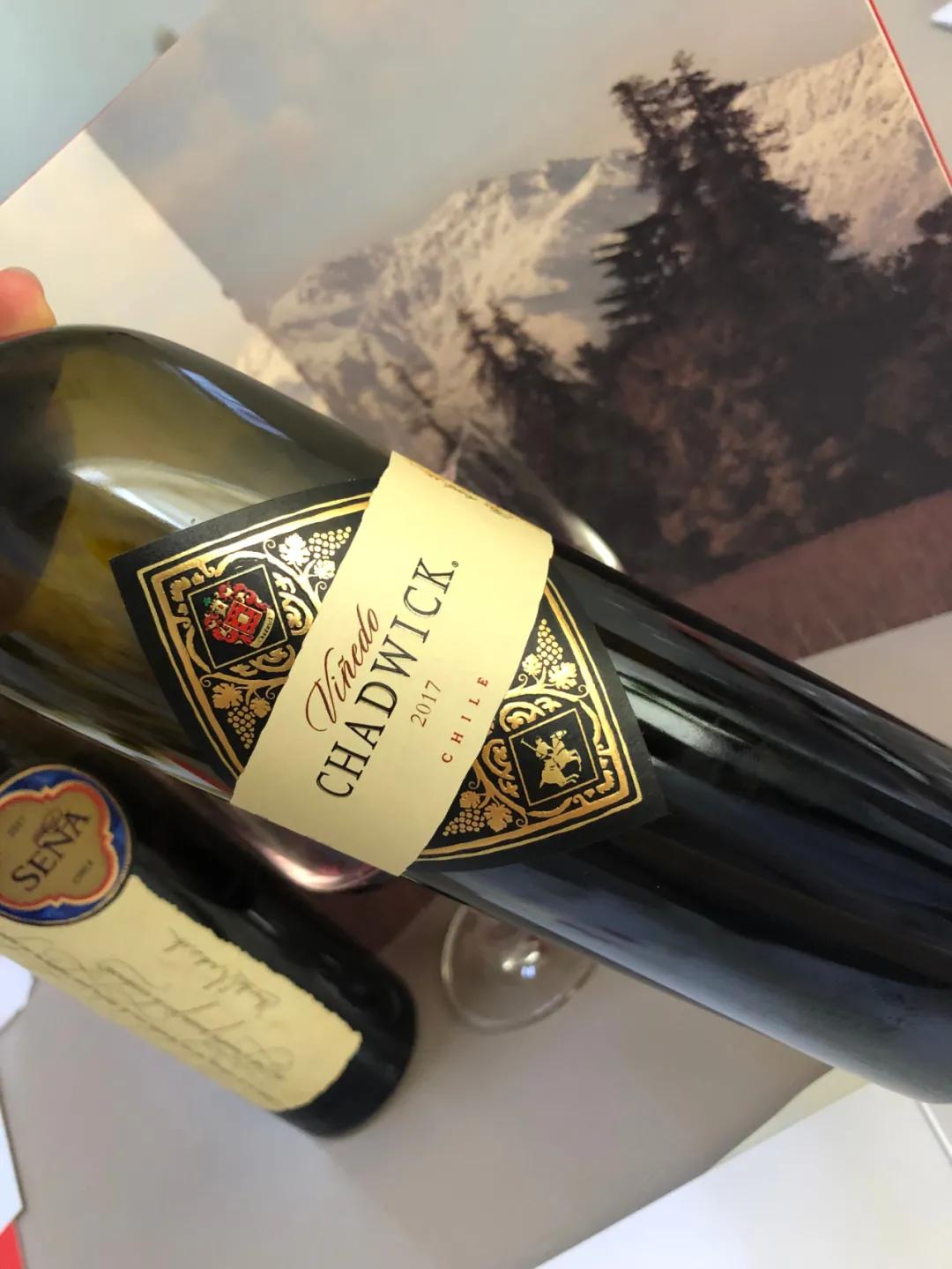 智利18罗汉中性价比最高的,智利十大顶级葡萄酒