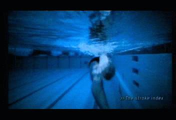 自由泳打腿方向和划水方向,自由泳打腿划水转体顺序