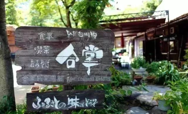 社会组织乡村振兴项目运作模式,乡村产业振兴10个经典模式