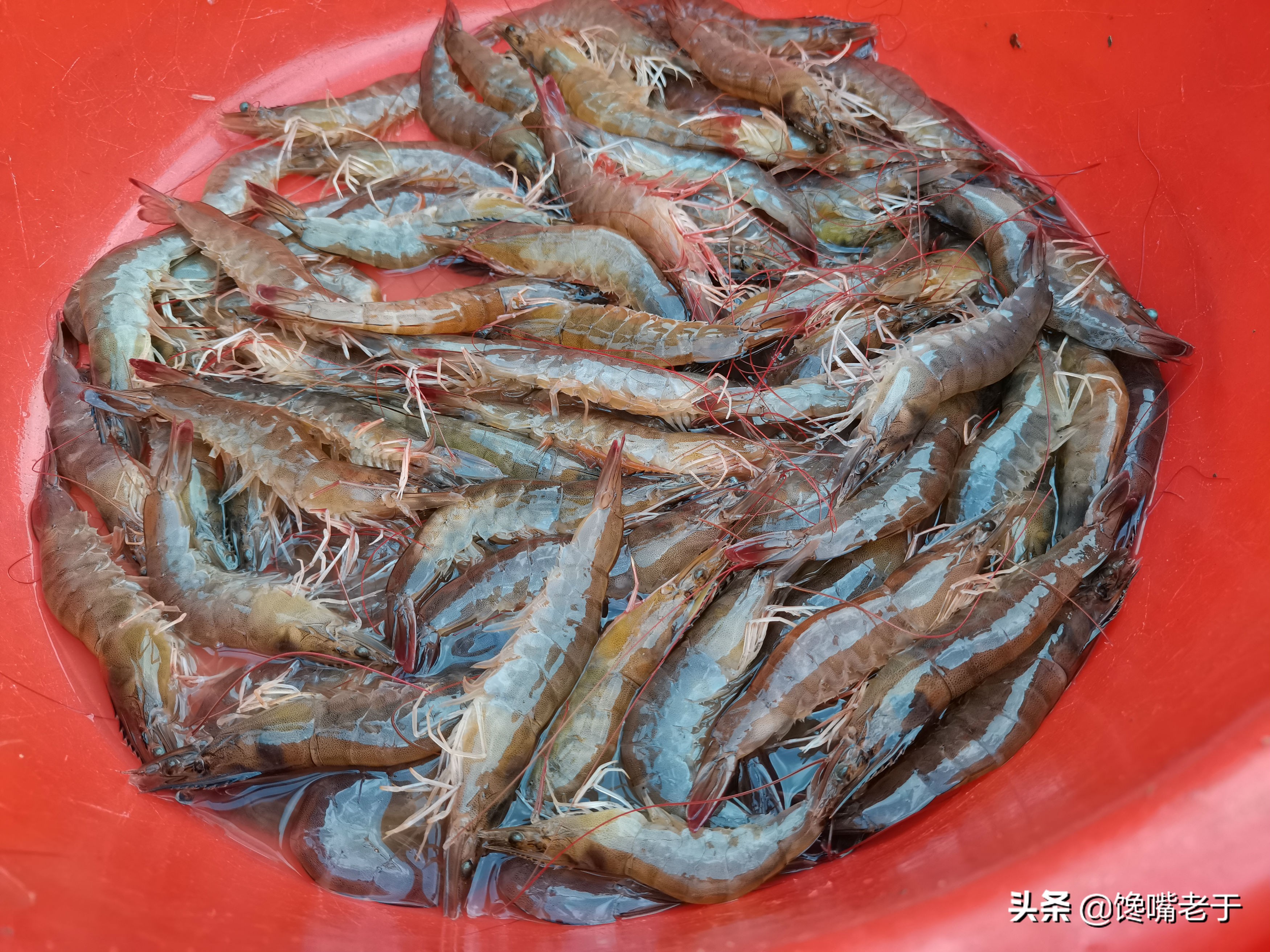 鲜虾挑虾线的简单正确方法,鲜虾怎么去虾线最简单的方法