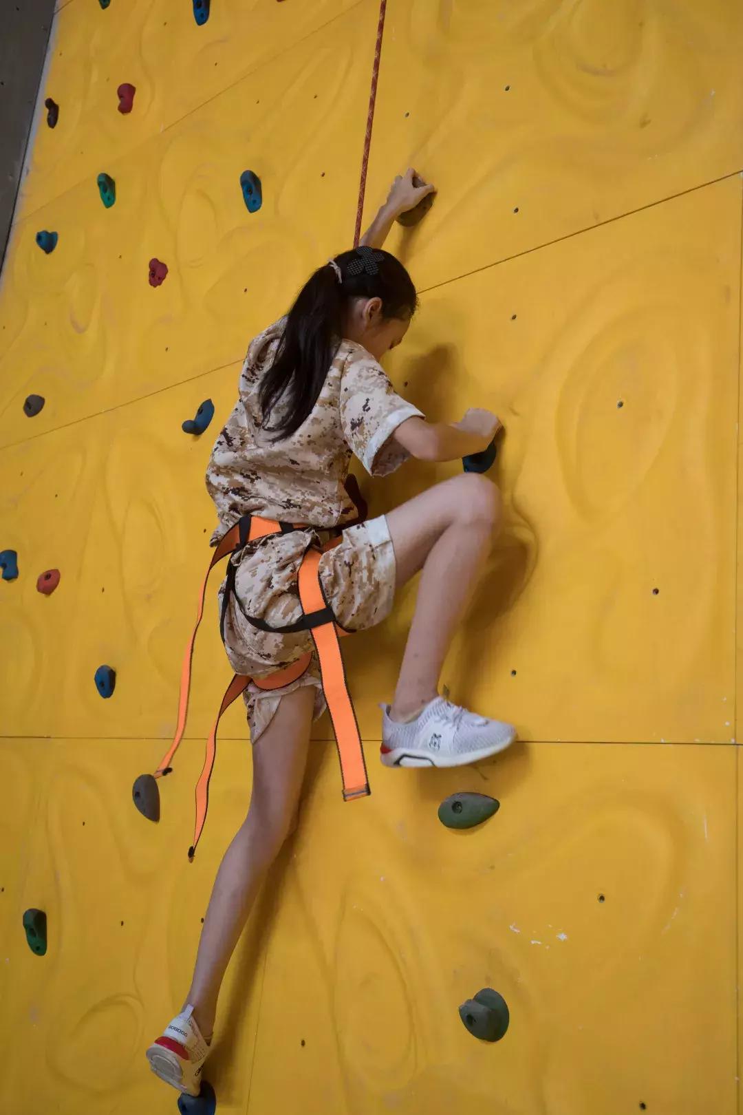 元宵花灯太美了,春季赏花郁金香太美了