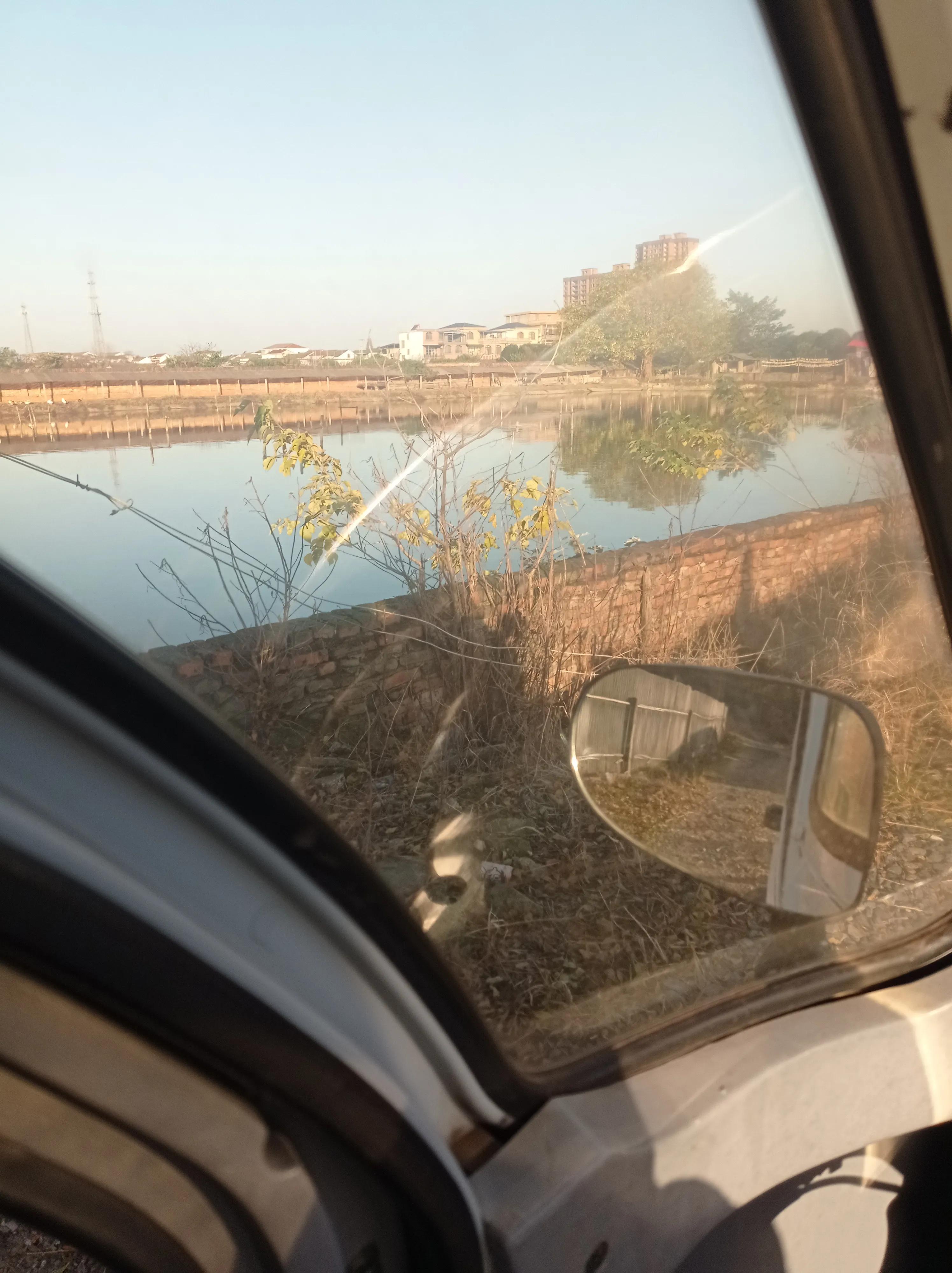 汉寿东仓湖生态水产,汉寿水产养殖基地