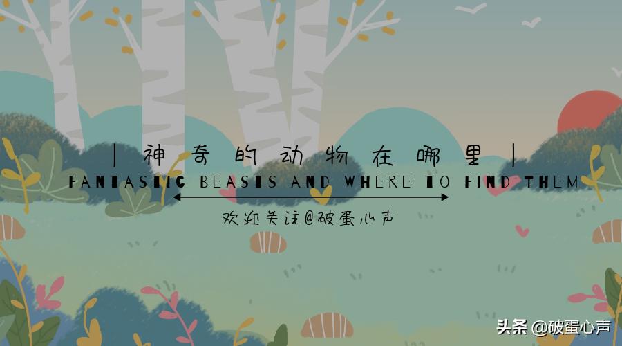 猫咪膀胱炎什么原因引起的,猫咪膀胱炎是怎么引起的