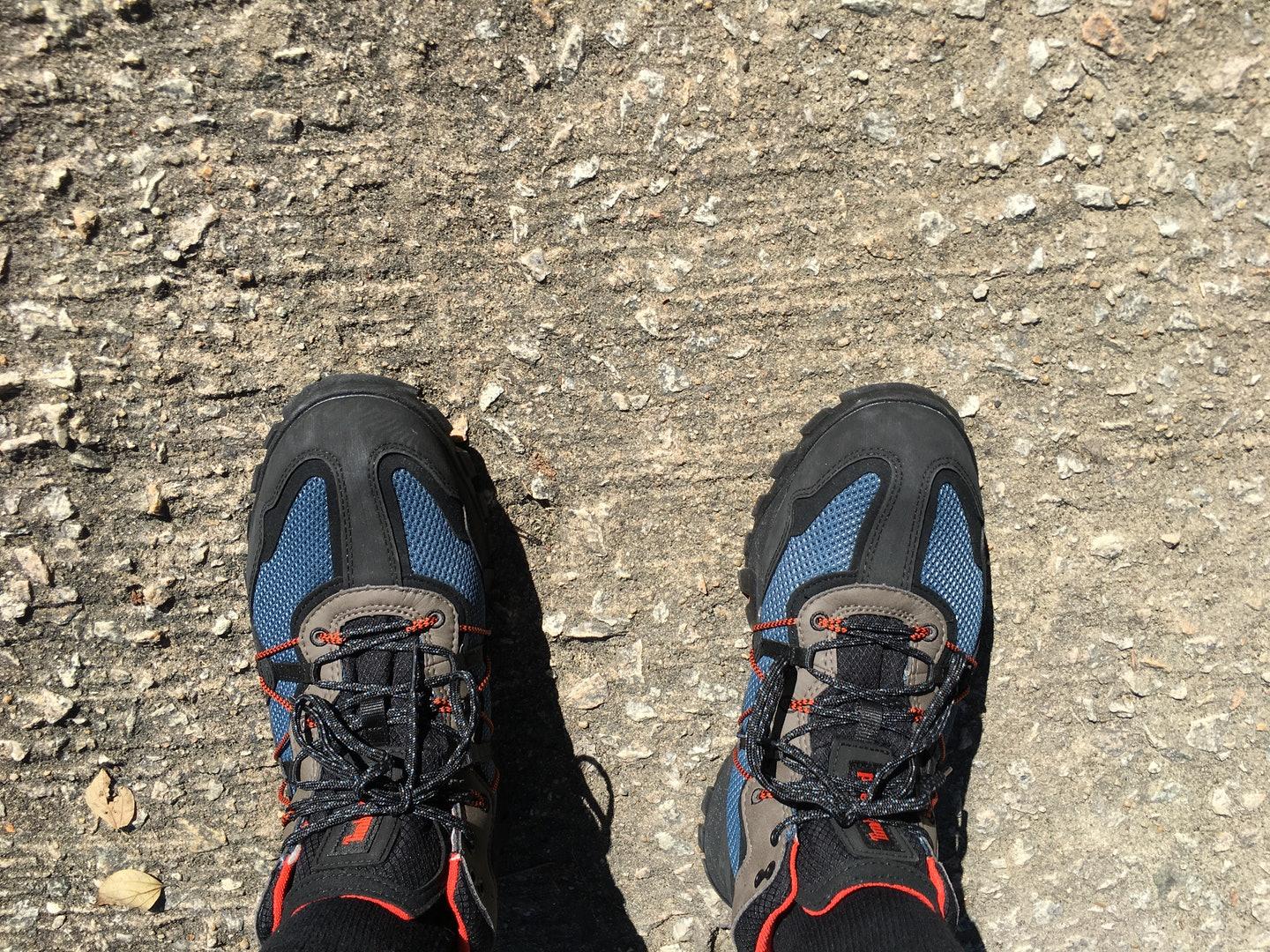 穿不烂的布洛克,timberland添柏岚低帮鞋