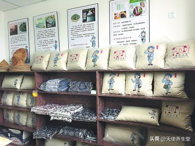 乡愁催生创业点子,福建一群年轻人让野草变身“大艾”健康文化!