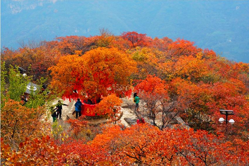 北京赏秋十大打卡地,北京赏秋