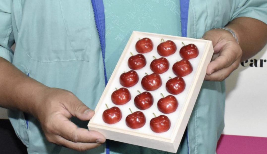 日本“迷之讲究”，15颗樱桃卖2万，取名“青森心跳”，谁在买？