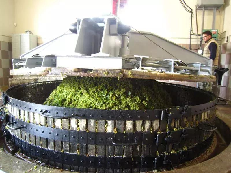 鍠濊捣娉¢厭,鍠濊捣娉¢厭濂藉悧