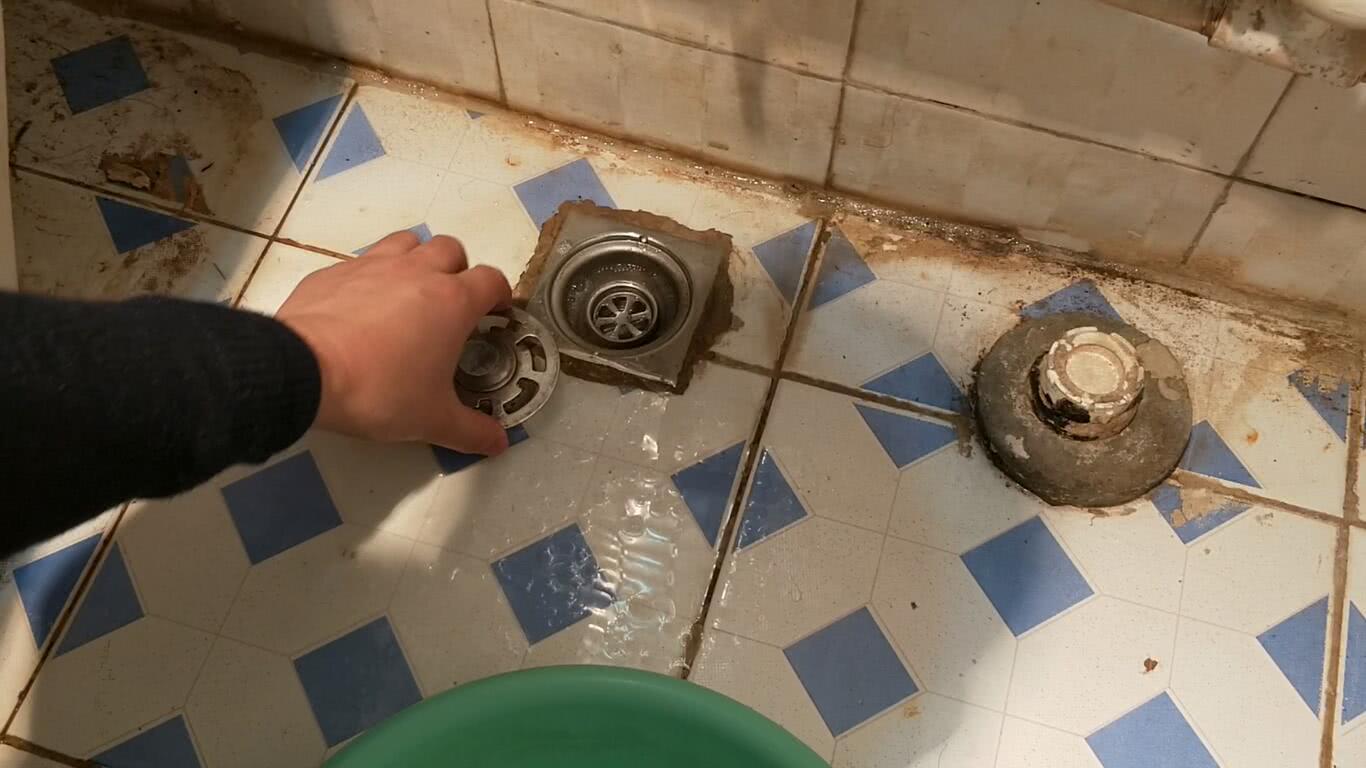 卫生间的小飞虫是什么虫子,卫生间小飞虫对身体有害吗