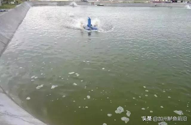 井水最佳调水方法,水质正常白天没口怎么调水