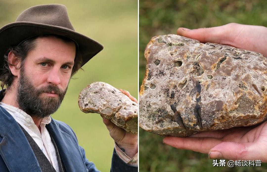 为什么世界上最香的物质和最臭的“生化*器武**”都来自于鲸鱼身上？