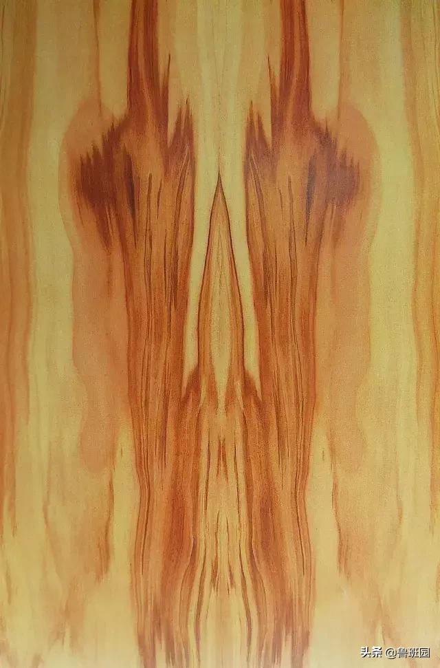 装饰材料木皮有哪些,装饰木皮有哪几种