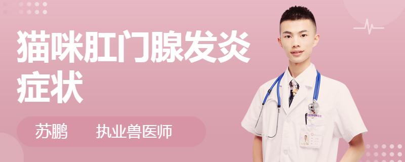 猫咪肛门腺炎有什么症状,猫咪毛囊发炎的症状和图片