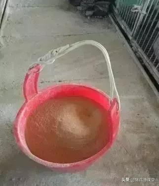 一把小扫把，让产床母猪远离子宫炎