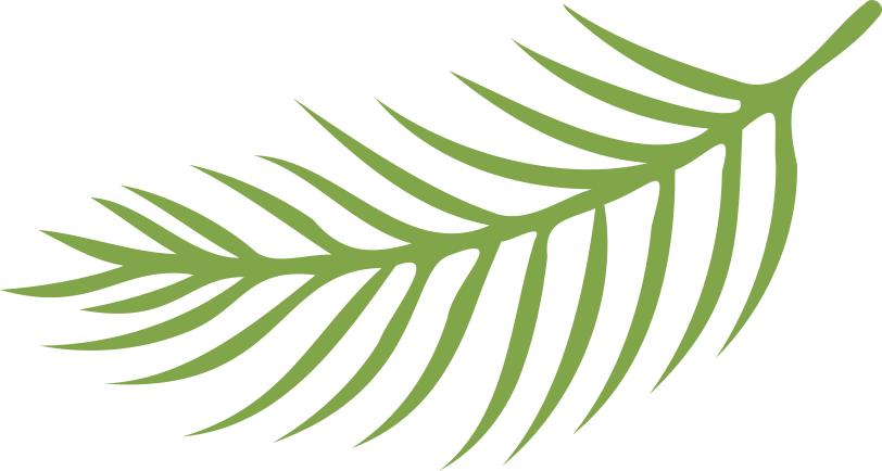 在校生当兵政审表去学校盖章,应征入伍政审表电子版在哪里