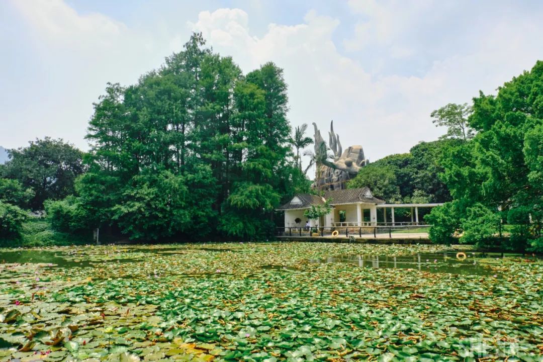 蛇口，传统与现代的并存