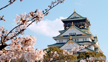 从关西机场到大阪市区怎么最划算,从关西机场到京都坐什么好