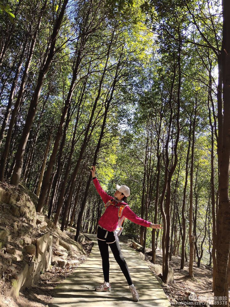 谁说时光荏苒岁月太匆匆,时光荏苒太匆匆七言诗句