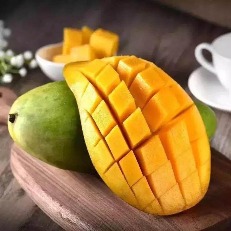 哪种芒果最适合做酸芒果,有芒果可以弄哪些夏天喝的饮品