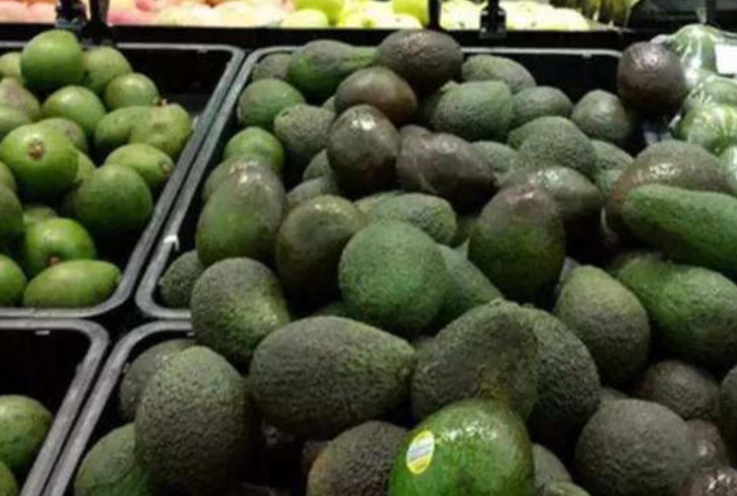 牛油果被炒作起来,为什么说牛油果就是一个健康骗局