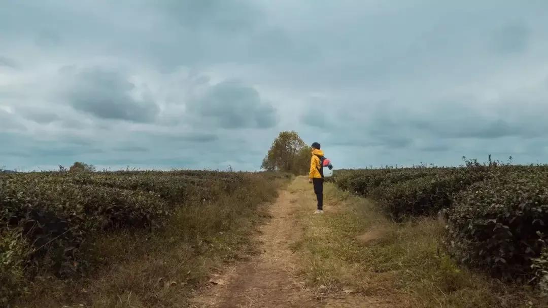 一个超级简单的病毒式营销案例,近两年的病毒式营销