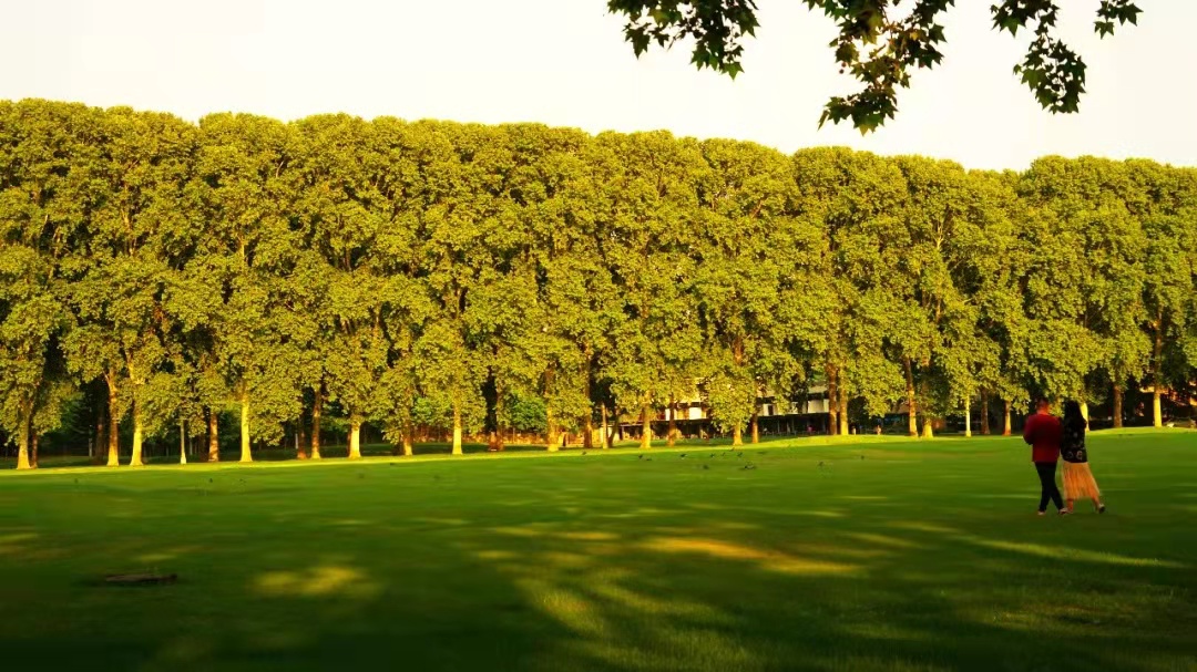 惠济区的环境,惠济区是富人区吗