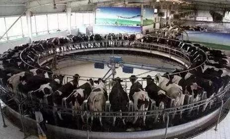 养殖业的商机价格,农业未来十大商机