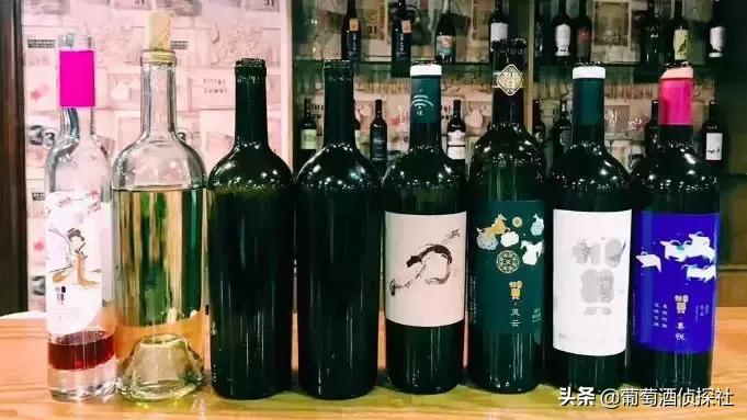 宁夏酒庄之旅,银川酒庄之旅