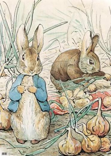 彼得兔的花园该怎么做,彼得兔的花园视频