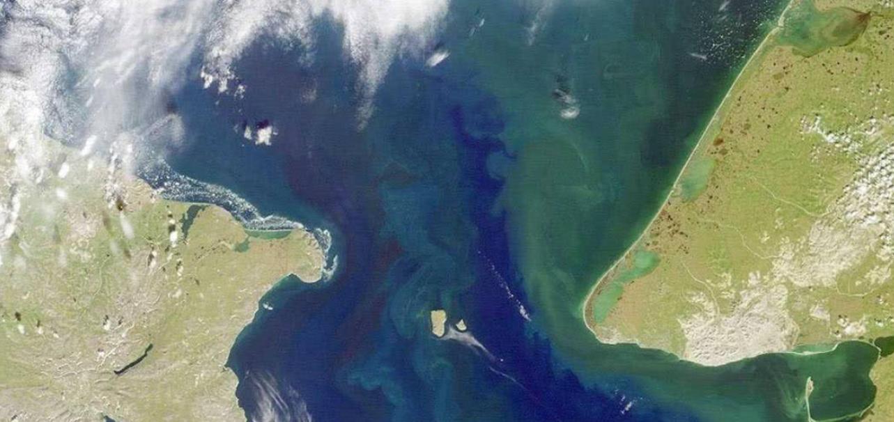 美国北极海冰现状,美国海冰最新消息