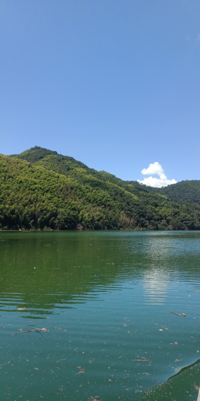 九州文学南京诗社作品,九州文学社作品