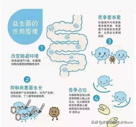 过量补益生菌对婴儿的危害,滥用抗生素肠道菌群紊乱会便秘吗