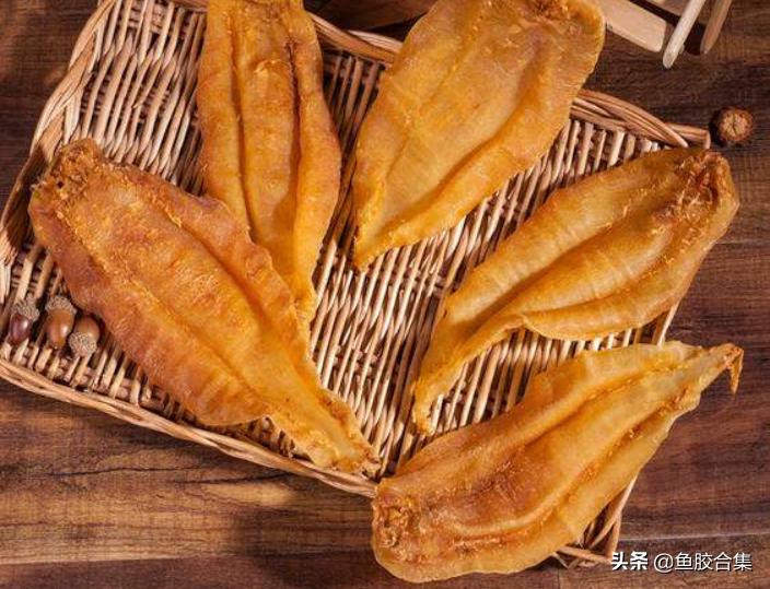 鱼胶土鳘血鳘有什么不一样,土鳘鱼胶厚肉与薄肉区别