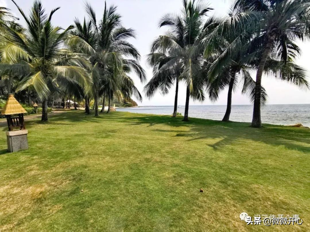 这三家酒店最适合企业商旅的需求