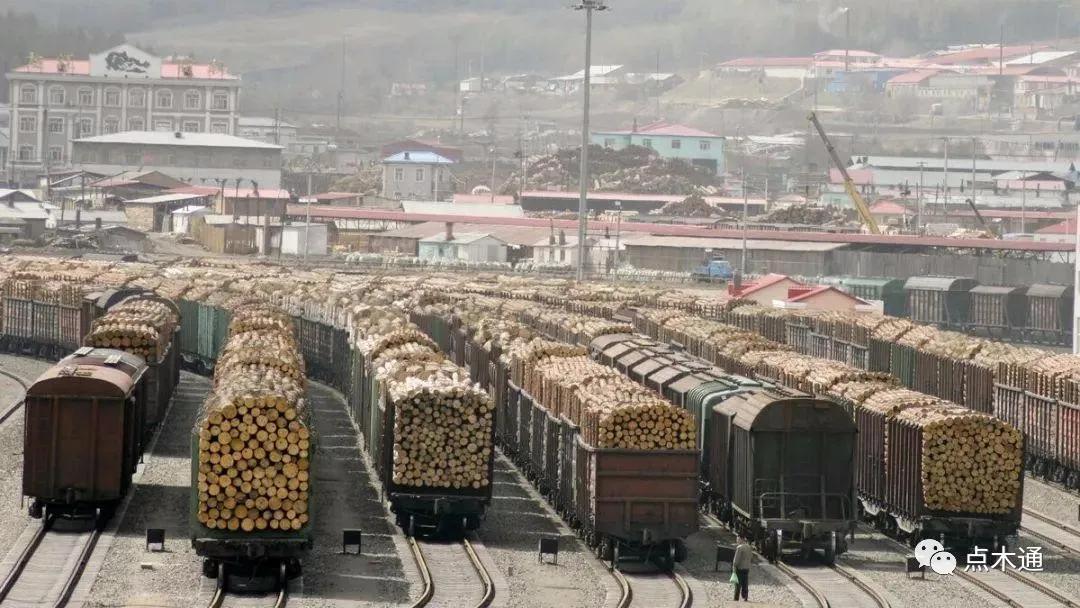 香樟树木材价格每吨多少钱,价格最贵木材排行榜前十名