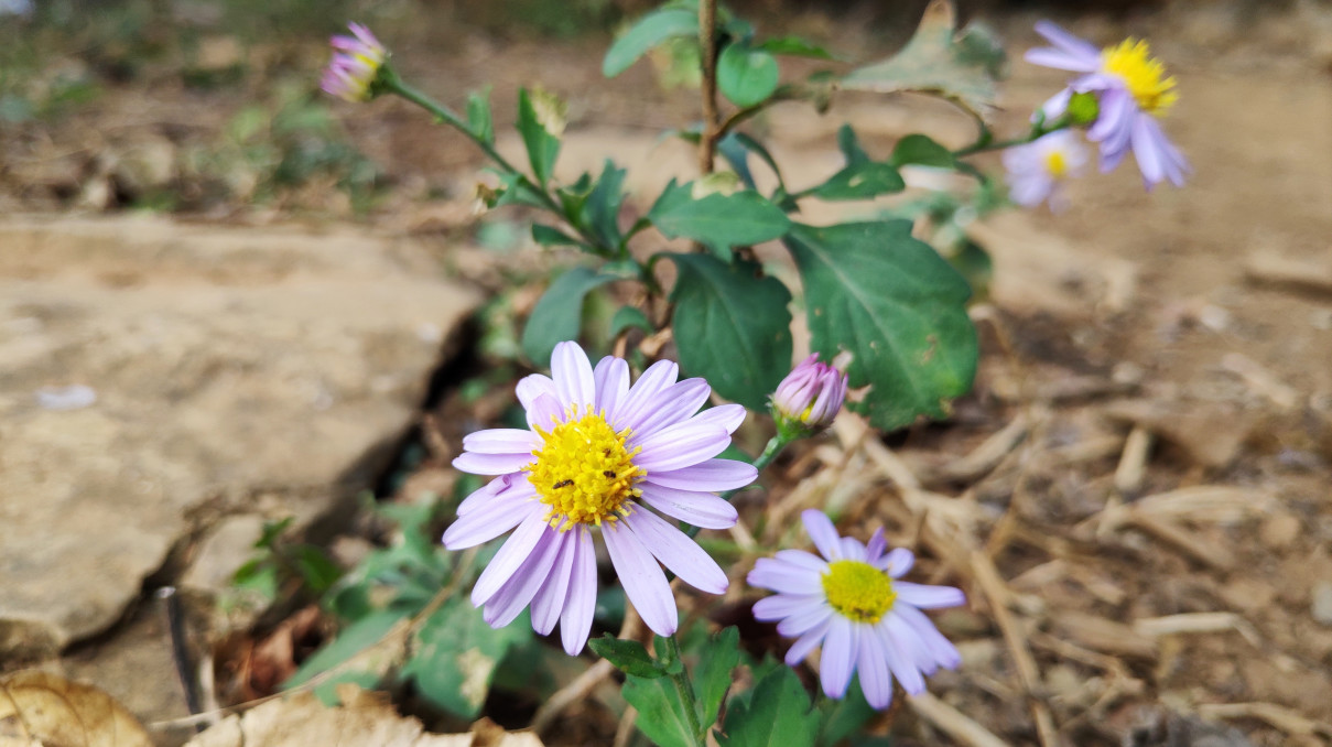 实干是什么意思,实干才是真谛