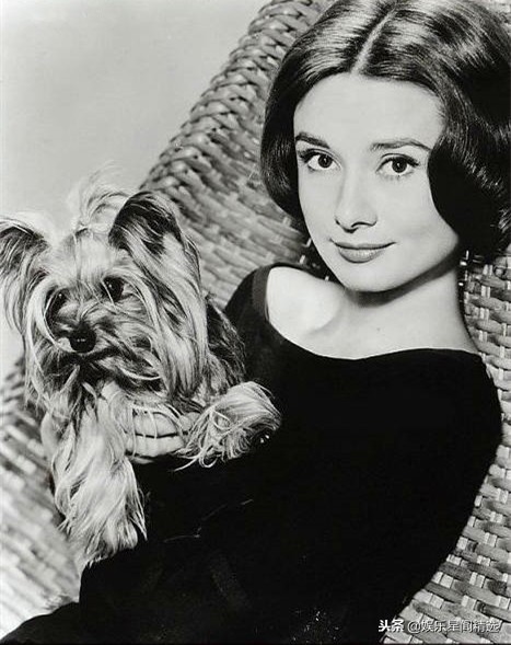 完美女人赫本：在厨房里一丝不苟，小动物们的好朋友，每天午睡！