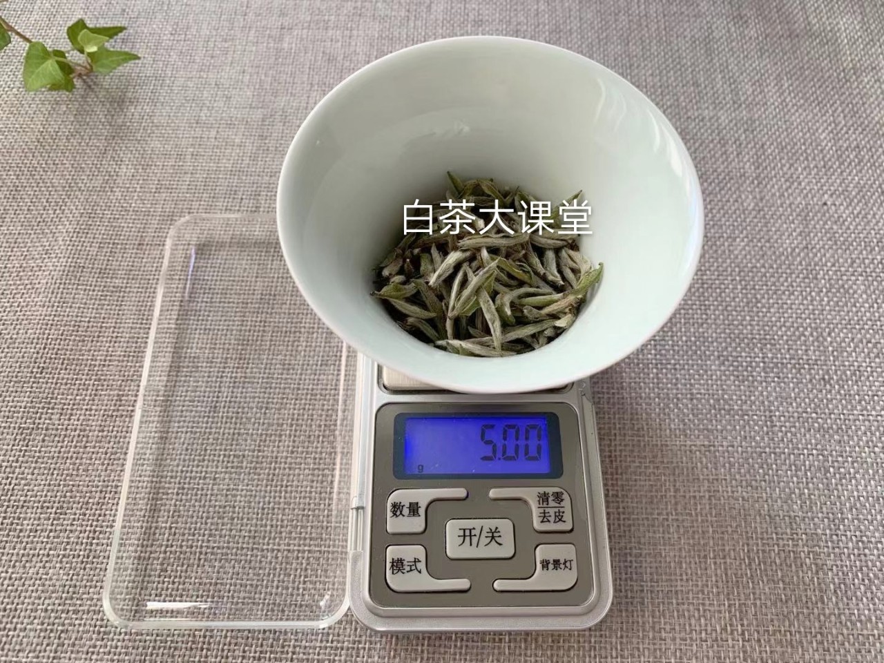 白茶要如何泡茶好喝又简单,泡茶的正确方法和泡白茶步骤视频