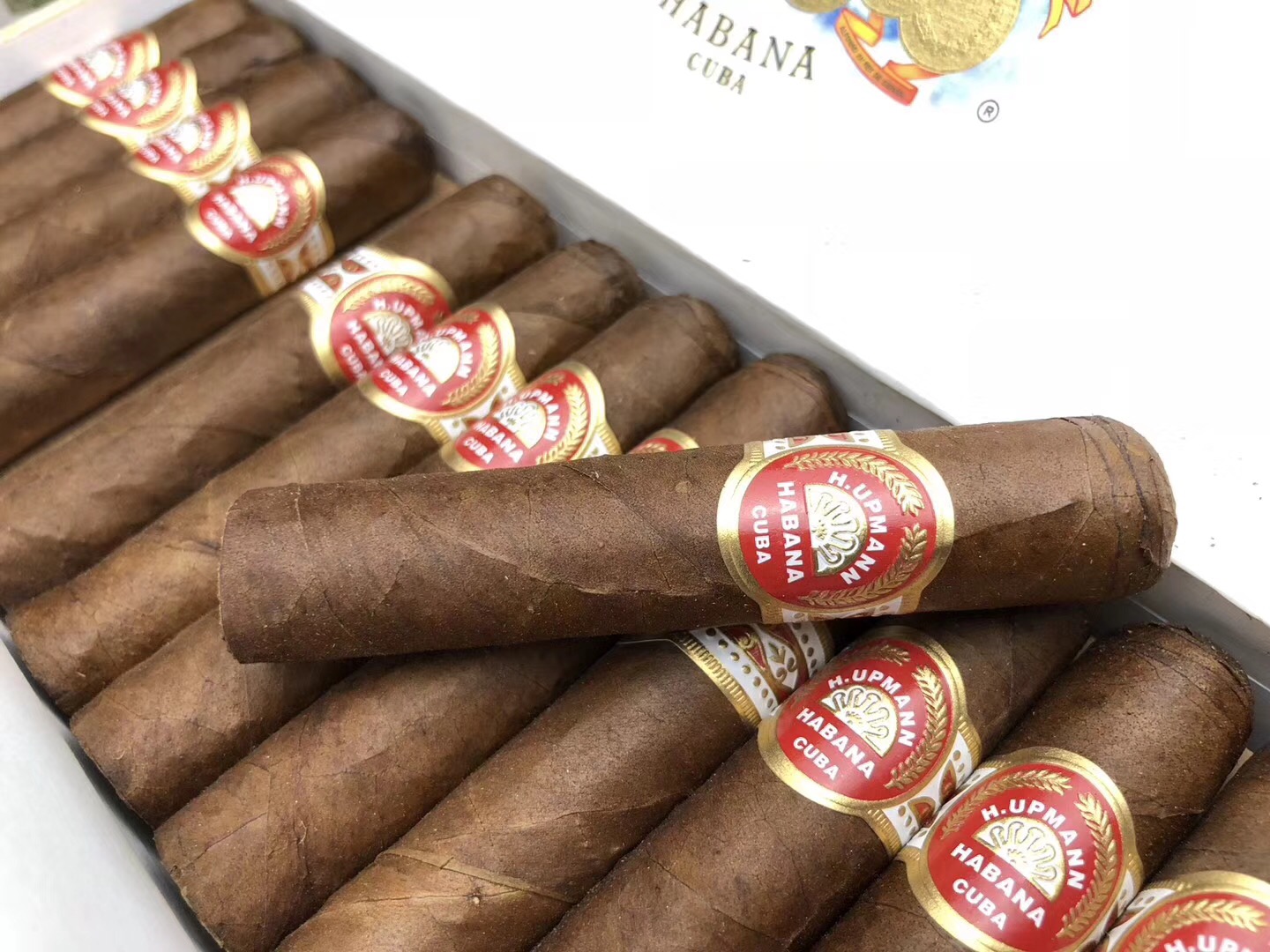 一般抽进口雪茄选择哪几个款,新手入门雪茄哪个牌子好又便宜