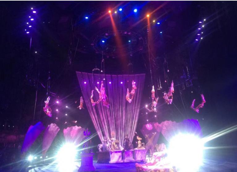 团队自驾游南澳岛旅游攻略,自驾广州长隆3天2夜亲子游攻略