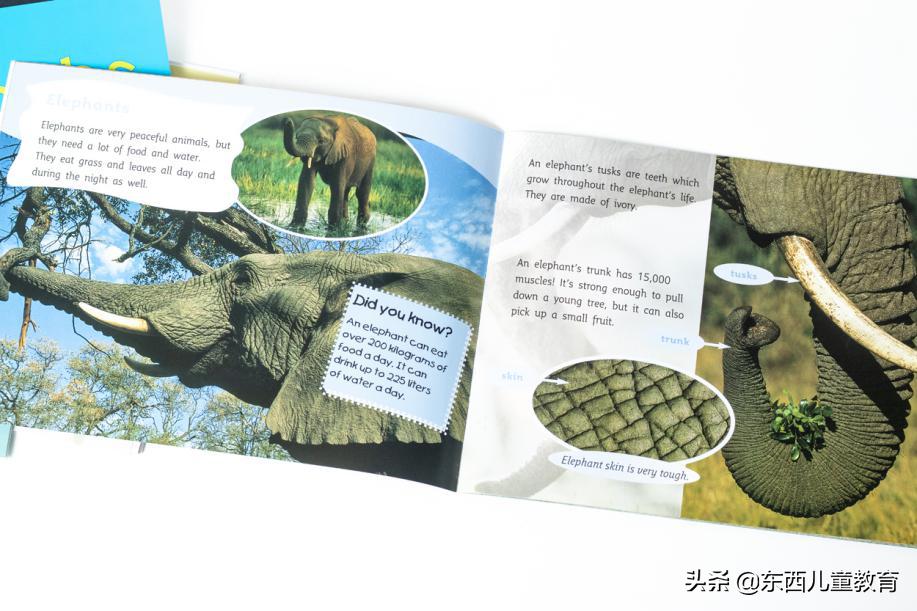 如果2-8岁孩子急需英语启蒙阅读，选分级王者《大猫》绝对没错