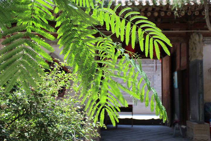 中山祠堂真实故事,中山祠堂的真实故事