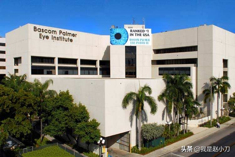 中华医药治疗白内障视频,中国医疗账单