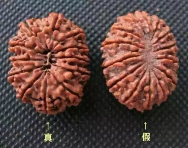 金刚菩提尼泊尔印尼区别,尼泊尔小金刚菩提子怎样快速变红