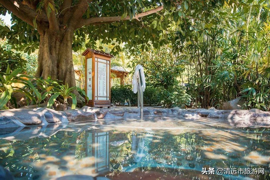 清远瞻云度假温泉是真温泉吗,从化温泉还是清远温泉