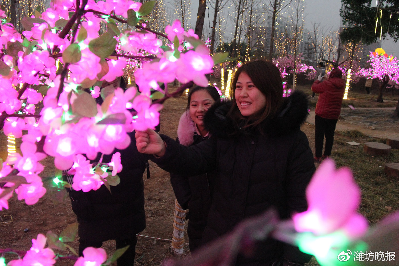 峡山灯会光影艺术节,2022年峡山区灯会